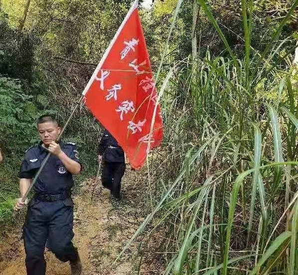干好每一天|青山掛白我復(fù)綠，無私奉獻(xiàn)金森人——資源保護(hù)部義務(wù)突擊隊(duì)工作記實(shí)