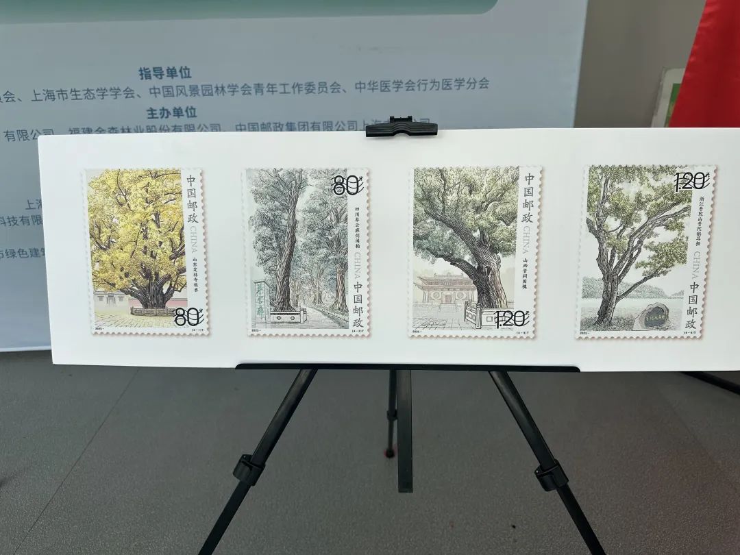 全國(guó)生態(tài)日來(lái)了！福建金森攜手舉辦上?！吧胶Ｍ铡ば雍糜心恪被顒?dòng)
